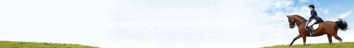 ecuries.petit-malherbe.fr